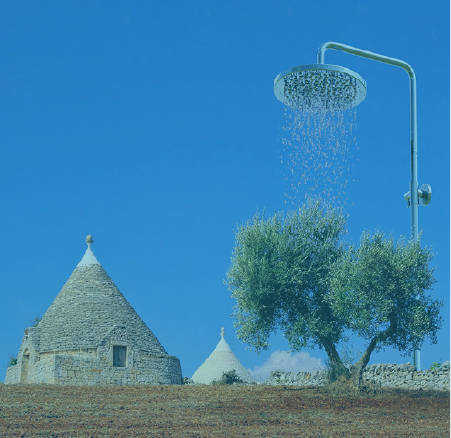 Environment