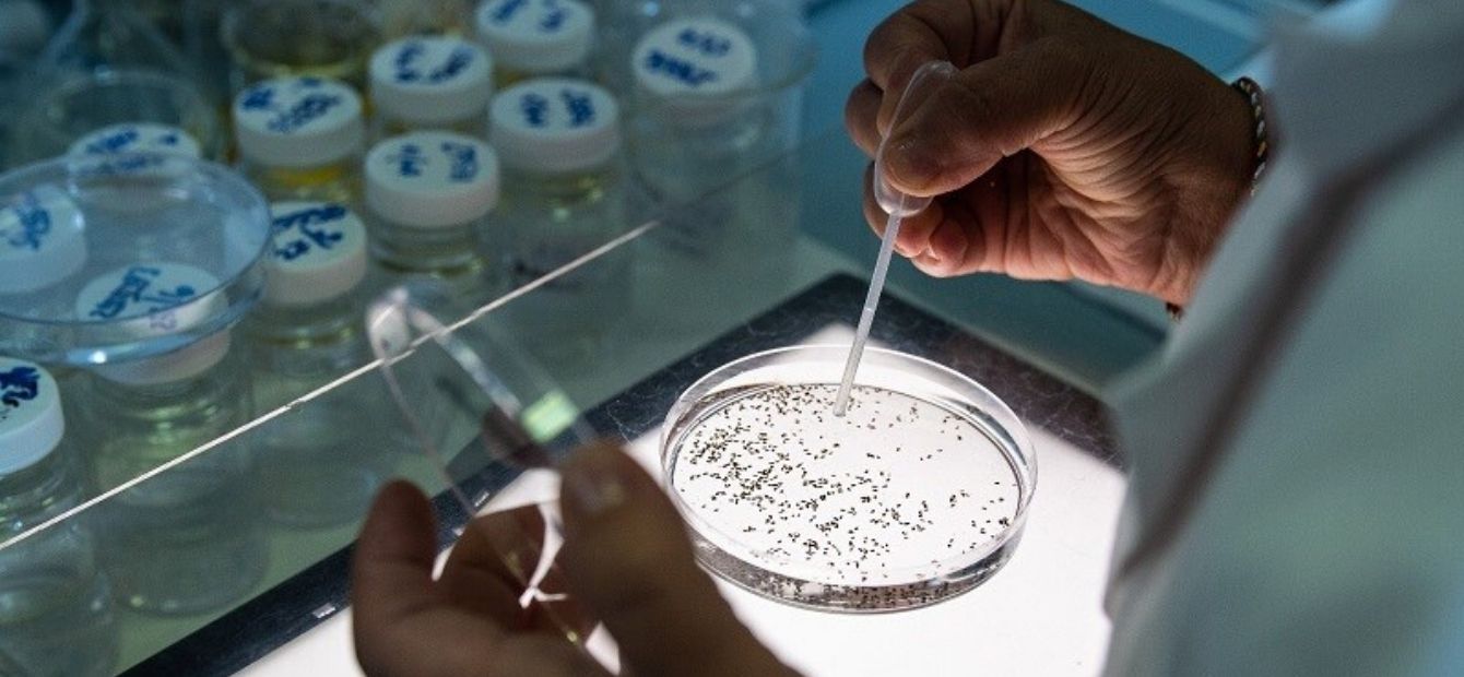 Laboratori Header con immagine e testo