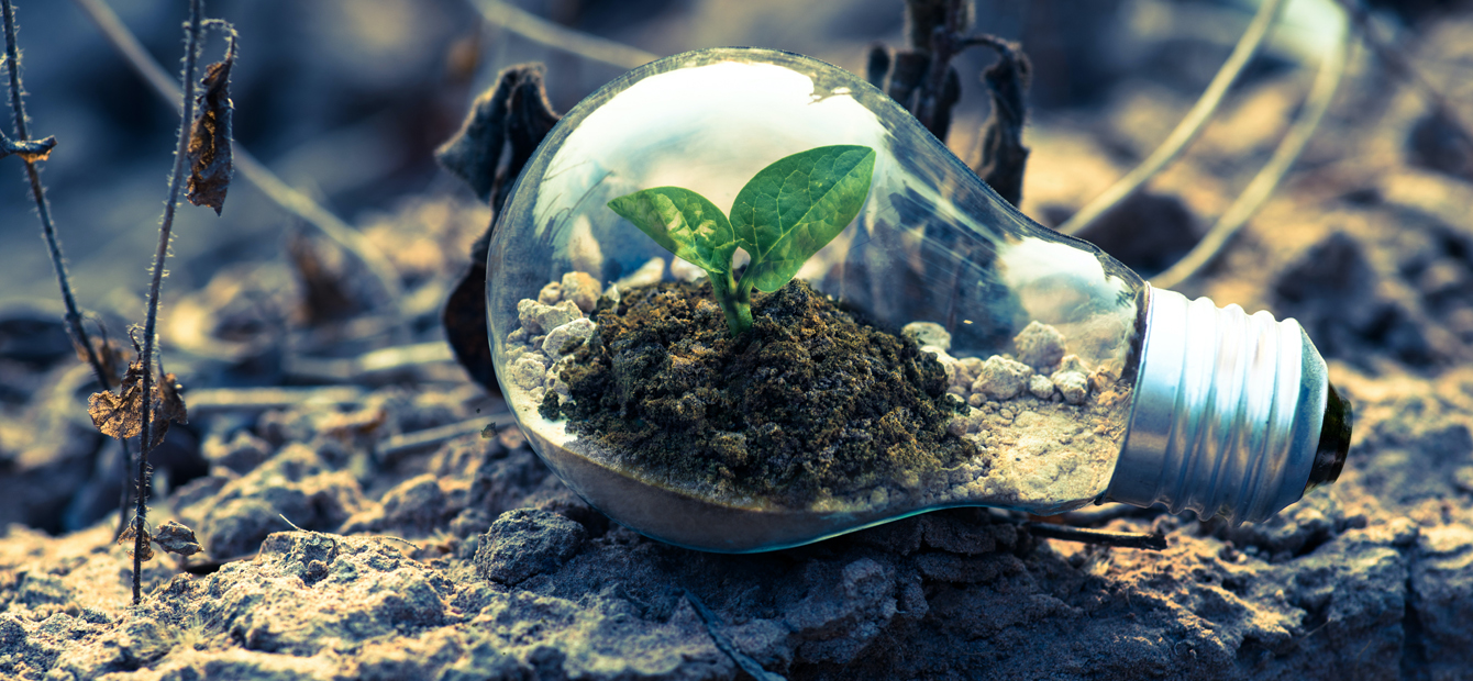 foto articolo innovazione