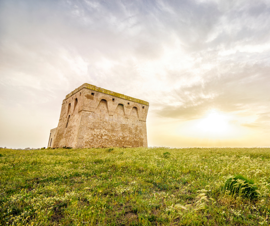 torre guaceto
