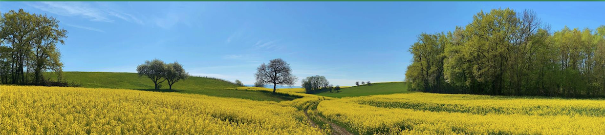 BIOECONOMY DAY