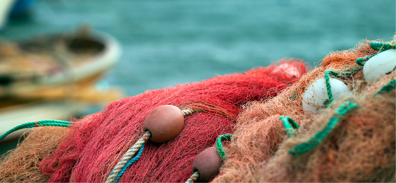 Campagna Report 2023