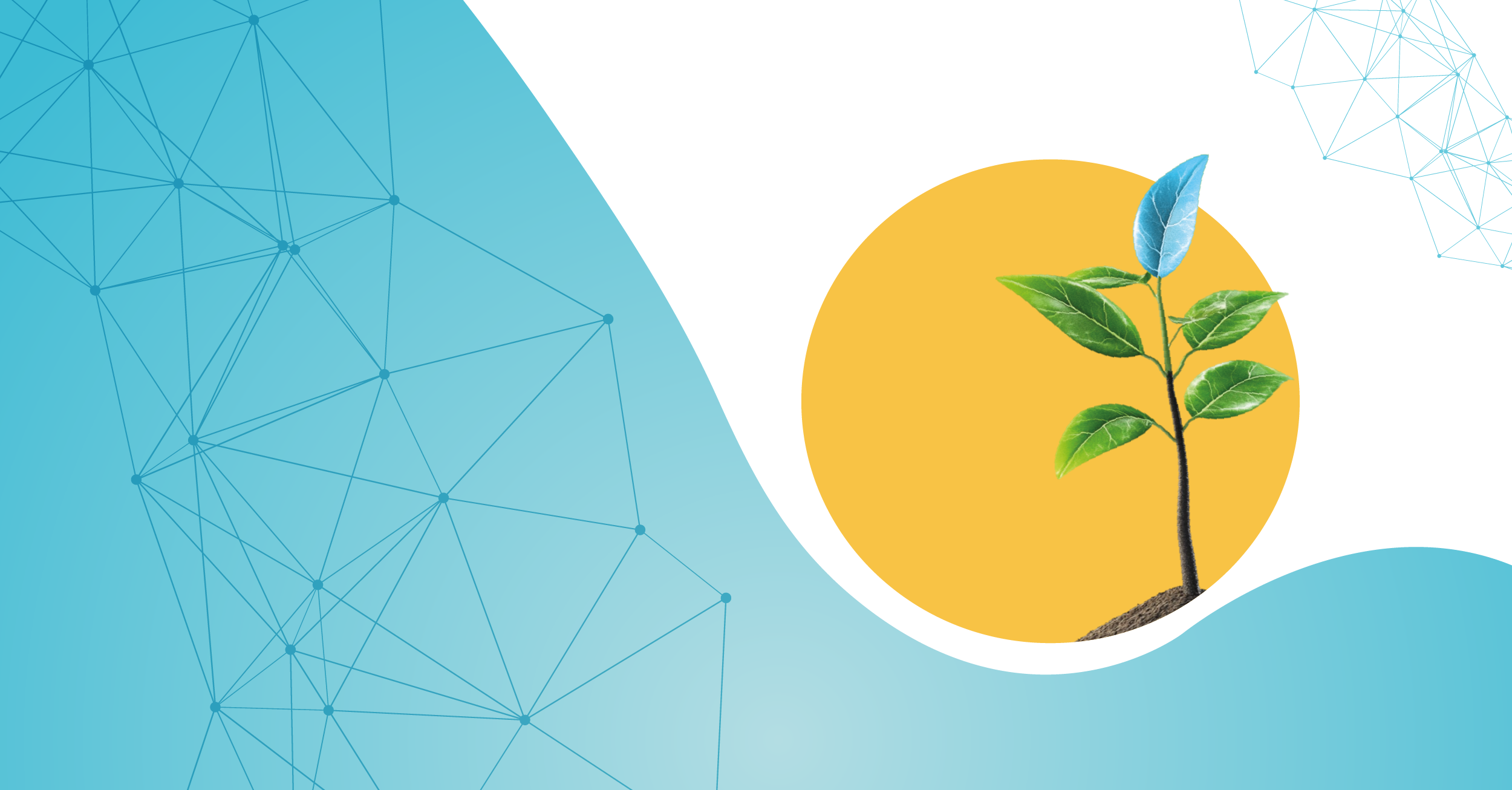 prova progetto ronsas