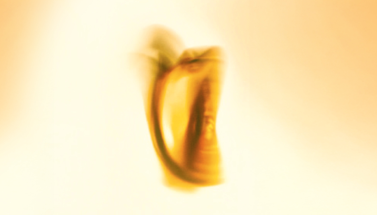 Immagine raffigurante un tamburello