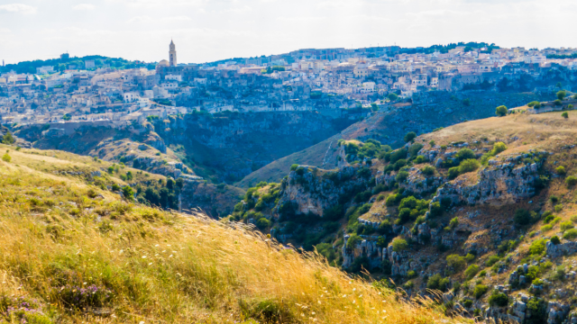 biodiversità