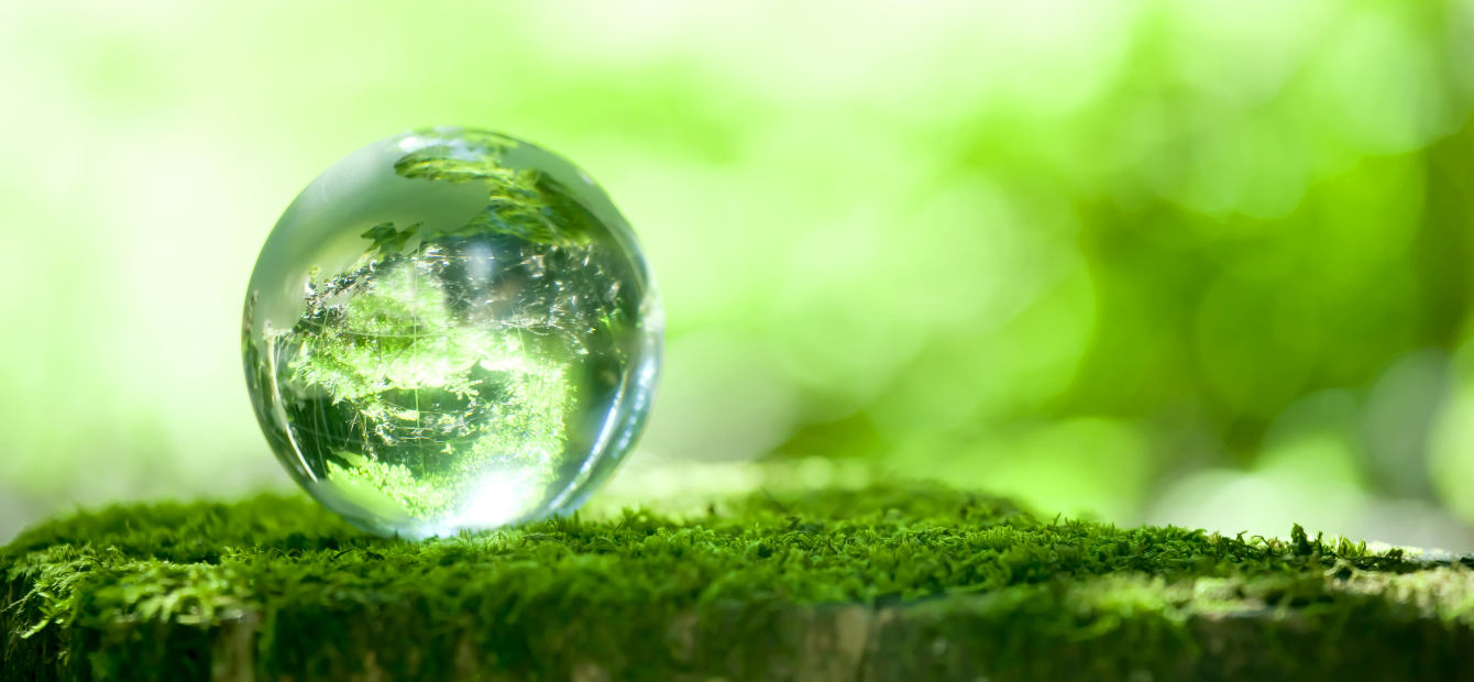 palla di vetro poggiata su un muschio nel bosco 