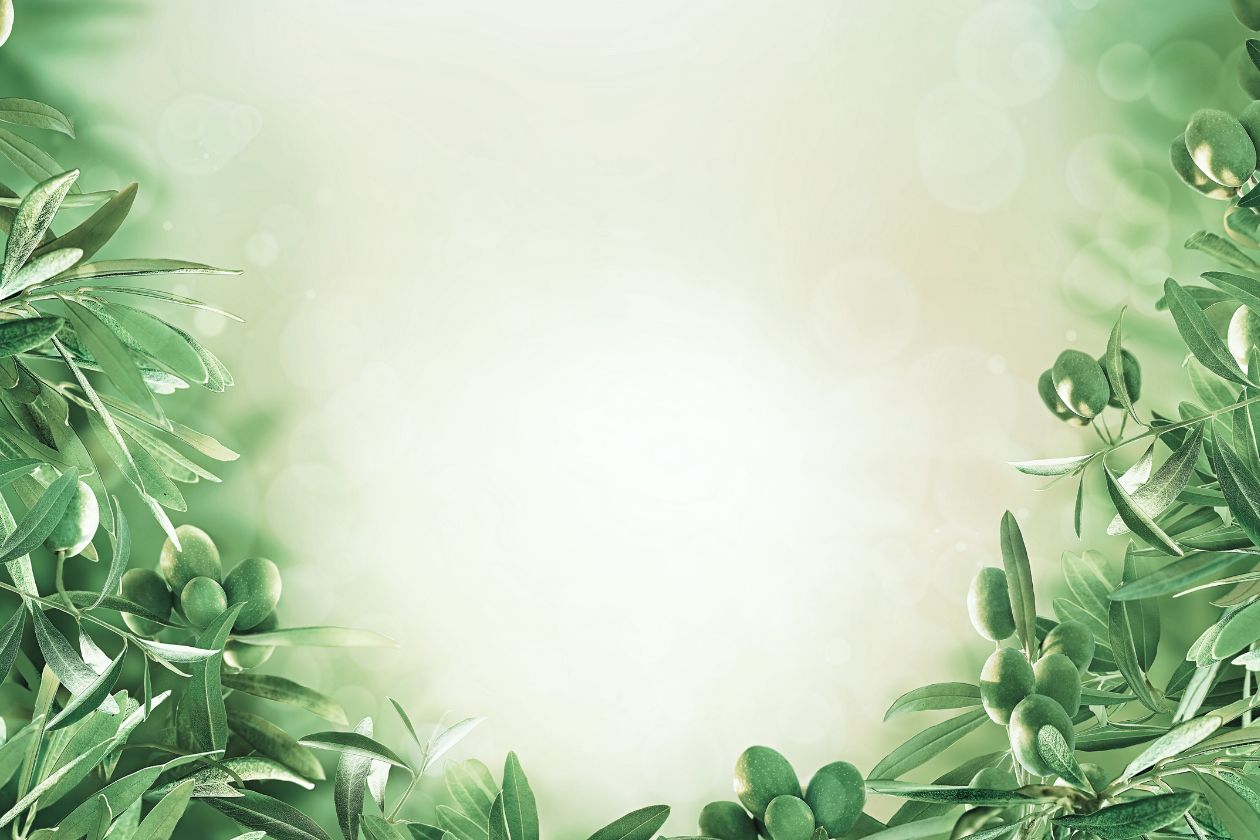 sfondo verde con una cornice fatta di foglie di ulivo 