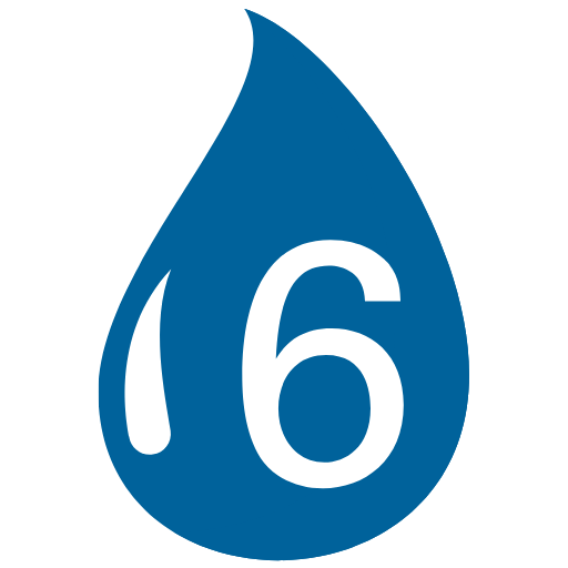 6