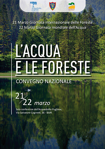 L'acqua e le foreste