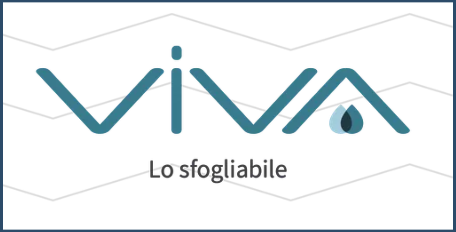 banner VIVA