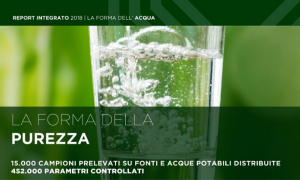 La forma della purezza