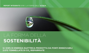 La forma della sostenibilità