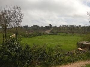 Un percorso immerso nella natura