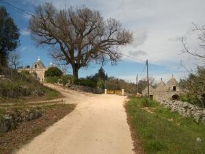 I trulli sono sullo sfondo