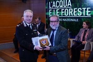 L'acqua e le foreste
