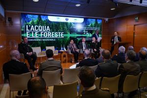 L'acqua e le foreste