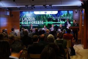 L'acqua e le foreste