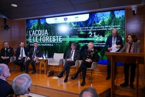 L'acqua e le foreste