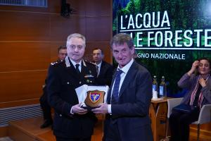 L'acqua e le foreste