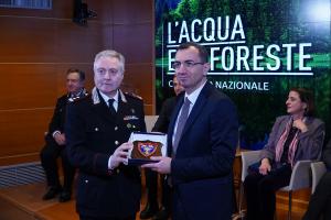 L'acqua e le foreste