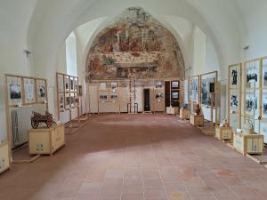 La fontana racconta veglie mostra La fontana racconta veglie mostra