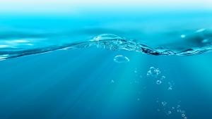 Le Forme dell'Acqua