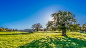 Bioeconomy Day 2024