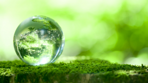 palla di vetro poggiata su un muschio nel bosco 