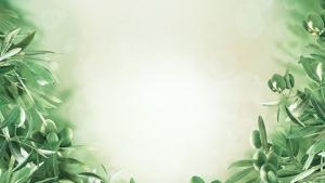 sfondo verde con una cornice fatta di foglie di ulivo 