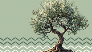 Illustrazione con albero di ulivo