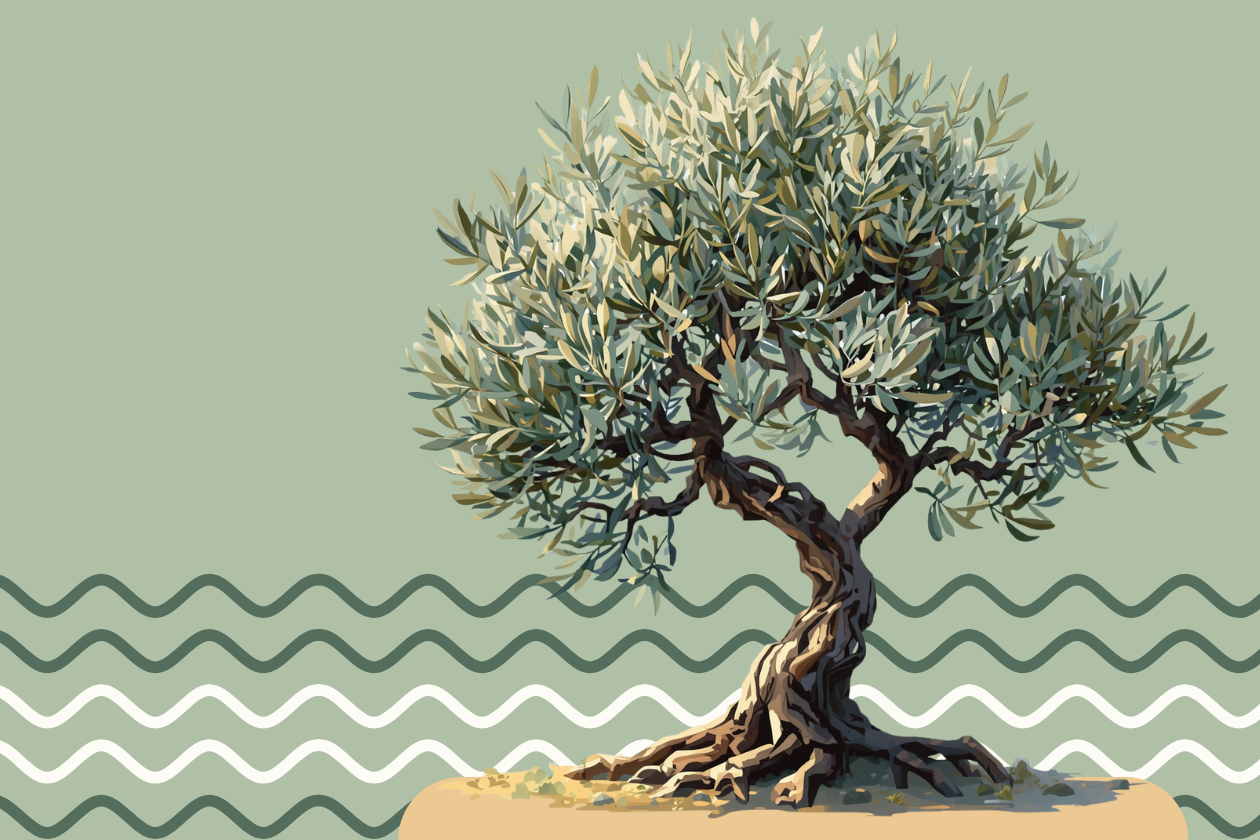 Eco flow Illustrazione con albero di ulivo