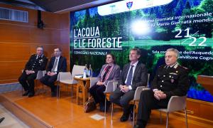 L'acqua e le foreste