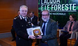 L'acqua e le foreste