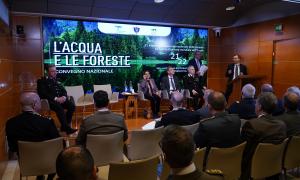 L'acqua e le foreste