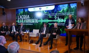 L'acqua e le foreste