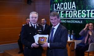L'acqua e le foreste