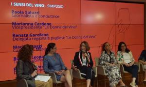I sensi del vino