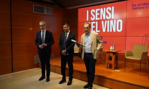 I sensi del vino